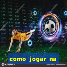 como jogar na lotinha do jogo do bicho